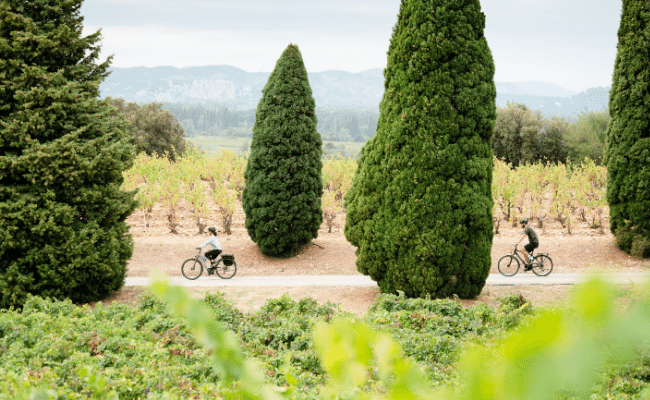 Côtes duRhône Vineyards巡游是遍法南循环路线