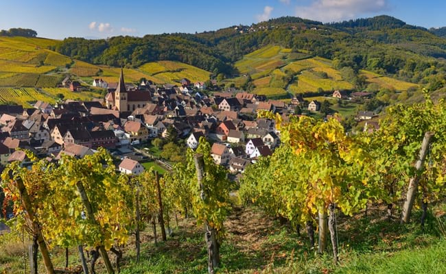 Alsace酒迹